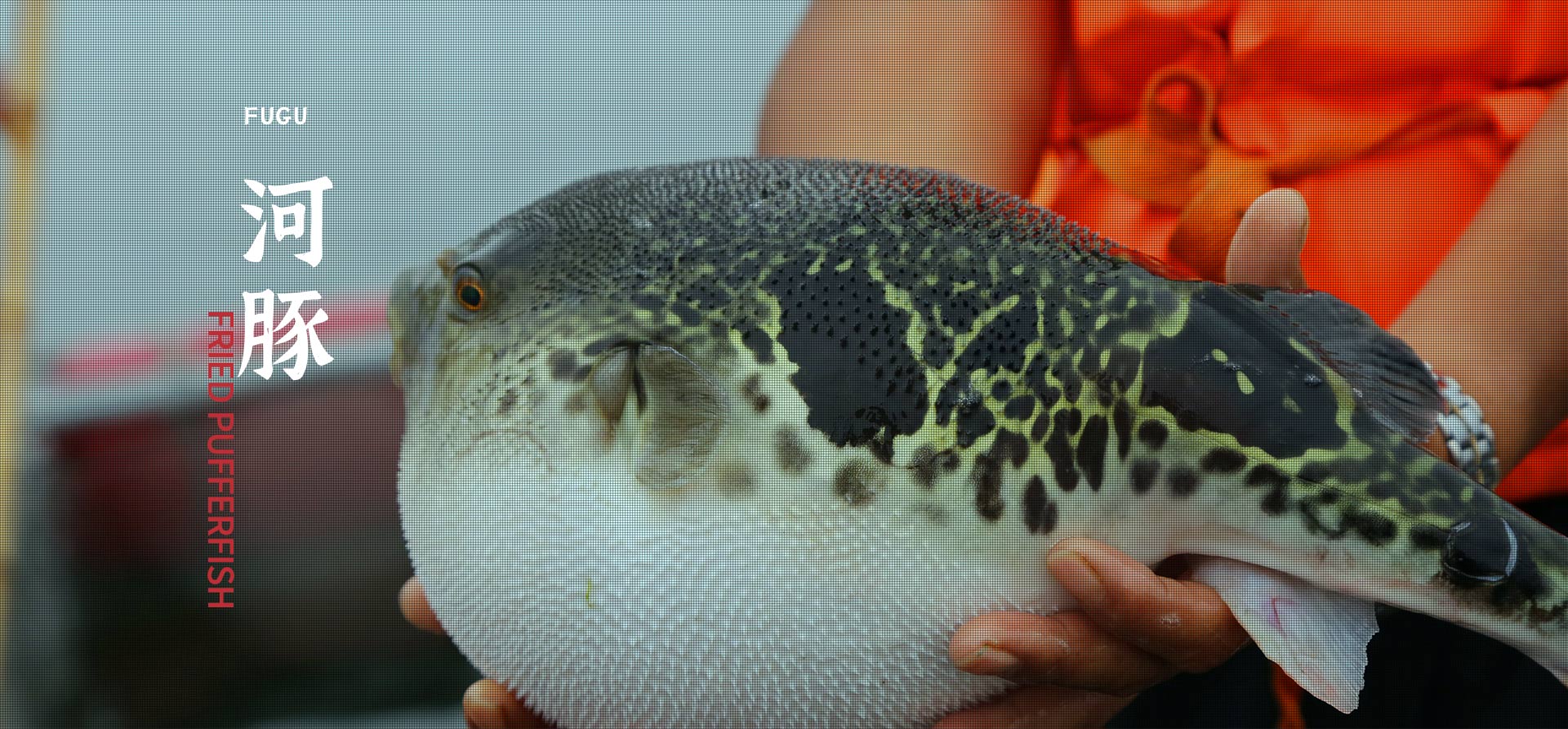 J9游戏(中国)-官方网站