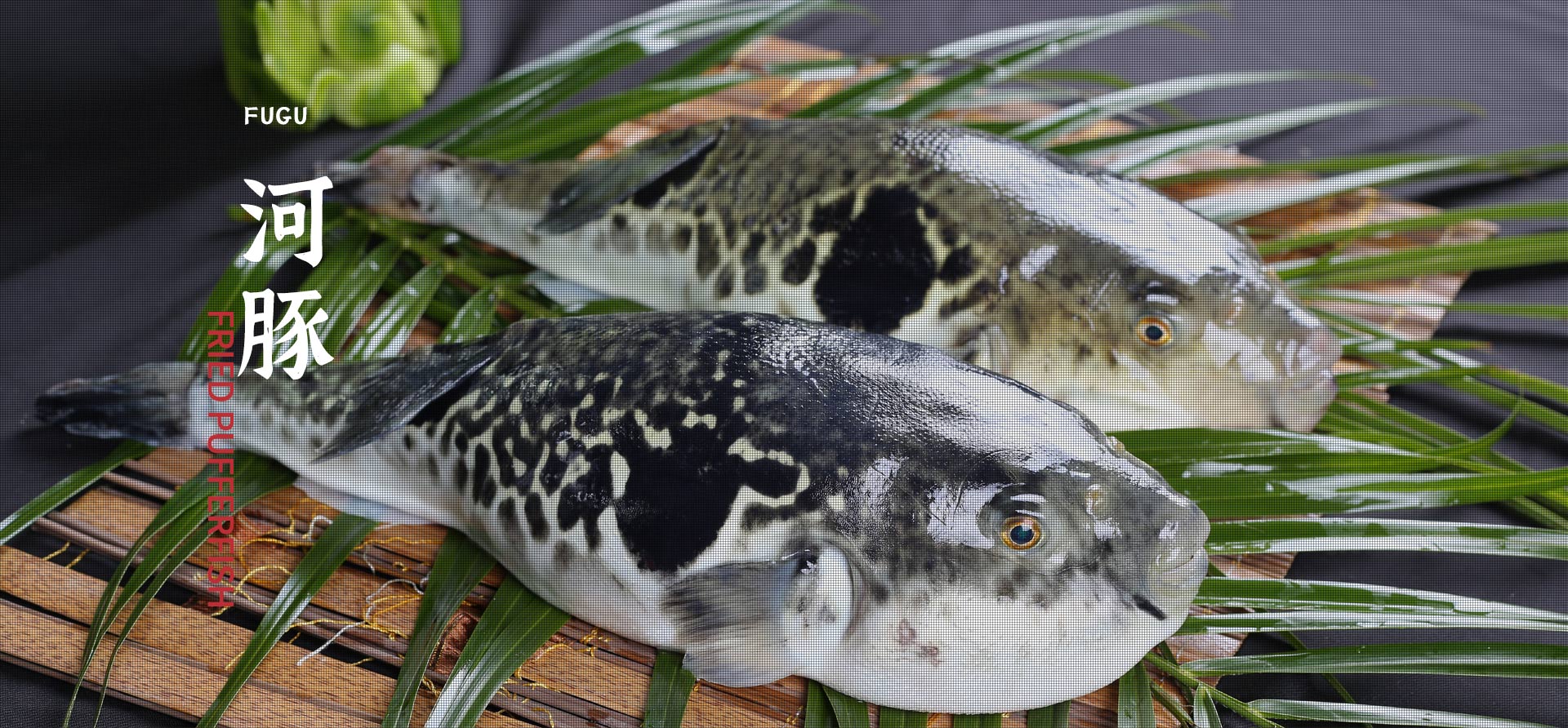 J9游戏(中国)-官方网站